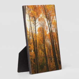 Orange Autumn Forest Fotoplatte