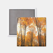 Orange Autumn Forest Magnet (Vorderseite/Rückseite)