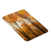 Orange Autumn Forest Magnet (Rechte Seite)