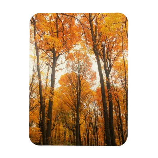 Orange Autumn Forest Magnet (Vertikal)