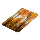 Orange Autumn Forest Magnet (Linke Seite)