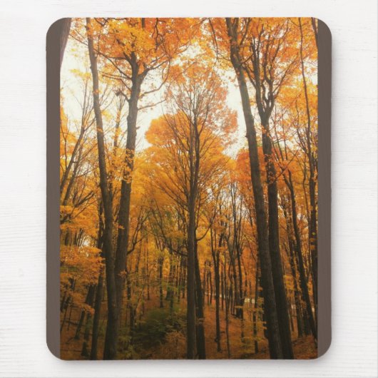 Orange Autumn Forest Mousepad (Vorne)