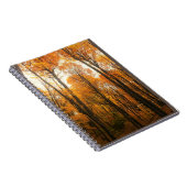 Orange Autumn Forest Notizblock (Rechte Seite)