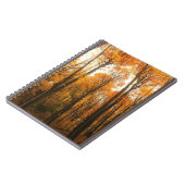 Orange Autumn Forest Notizblock (Linke Seite)