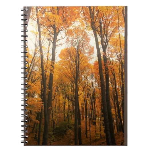 Orange Autumn Forest Notizblock (Vorderseite)