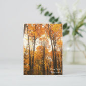Orange Autumn Forest Postkarte (Stehend Vorderseite)