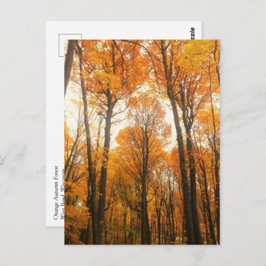 Orange Autumn Forest Postkarte (Vorne/Hinten)