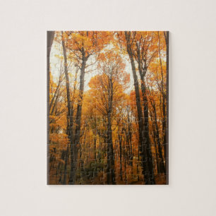 Orange Autumn Forest Puzzle