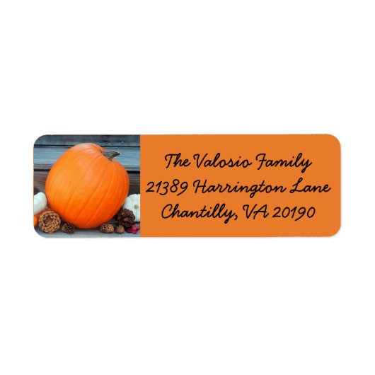Orange Autumn Pumpkin (Vorne)