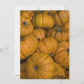 Orange Autumn Pumpkins Engagement Party Einladung (Rückseite)