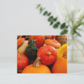 Orange Autumn Pumpkins Postkarte (Stehend Vorderseite)