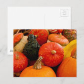Orange Autumn Pumpkins Postkarte (Vorne/Hinten)