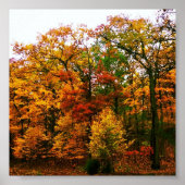 Orange Autumn Trees Poster (Vorne)