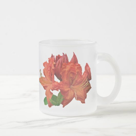 Orange Azalea Blüten Mattglastasse (Rechts)
