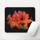 Orange Azalea Blüten Mousepad (Mit Mouse)