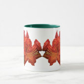 Orange Azalea Blüten Tasse (Zentrum)