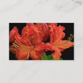 Orange Azalea Blüten Visitenkarte (Rückseite)