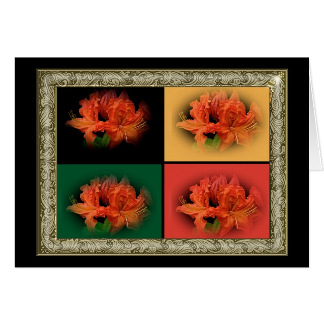 Orange Azaleas (Vorderseite (Horizontal))