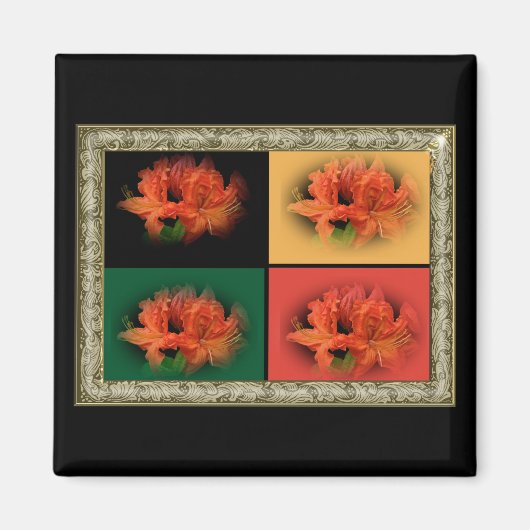 Orange Azaleas Magnet (Vorne)
