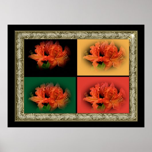 Orange Azaleas Poster (Vorne)