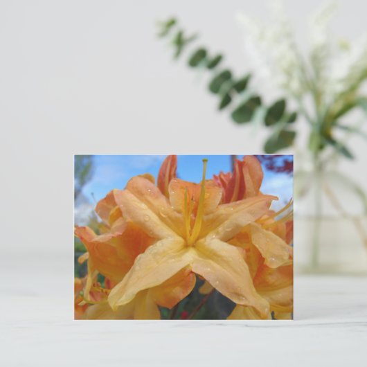 Orange Azaleas Postkarte (Stehend Vorderseite)
