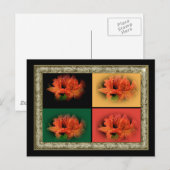 Orange Azaleas Postkarte (Vorne/Hinten)