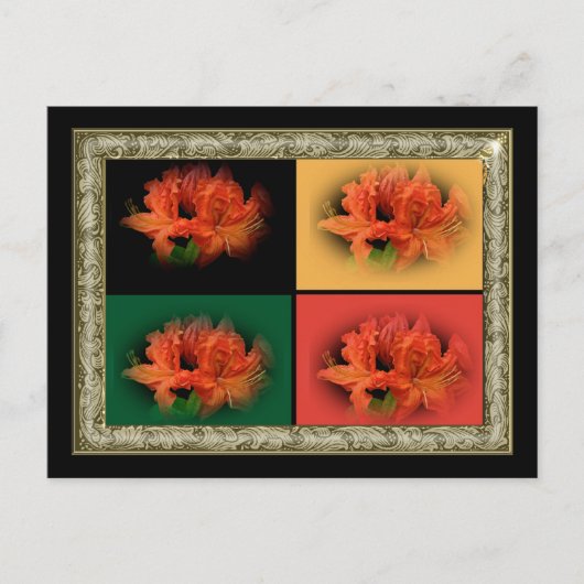Orange Azaleas Postkarte (Vorderseite)