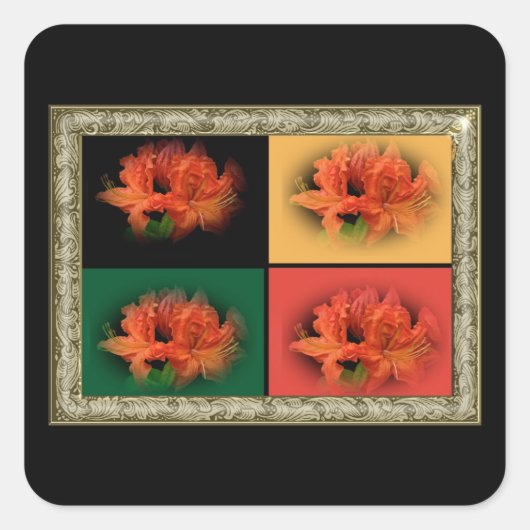 Orange Azaleas Quadratischer Aufkleber (Vorderseite)