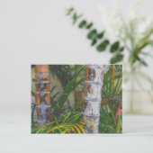 Orange Bamboo Postkarte (Stehend Vorderseite)