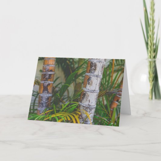 Orange Bambus Karte (Vorderseite)