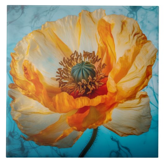 Orange Beauty Fliese (Vorderseite)