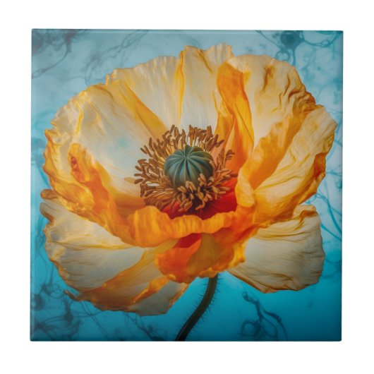 Orange Beauty Fliese (Vorderseite)