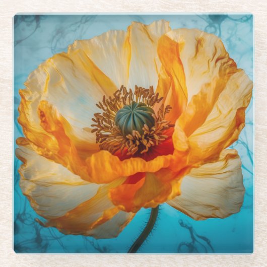 Orange Beauty Glasuntersetzer (Vorderseite)