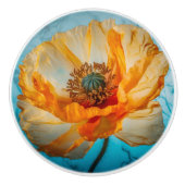 Orange Beauty Keramikknauf (Vorderseite)