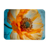 Orange Beauty Magnet (Horizontal)