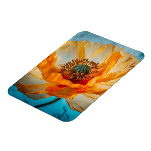 Orange Beauty Magnet (Linke Seite)