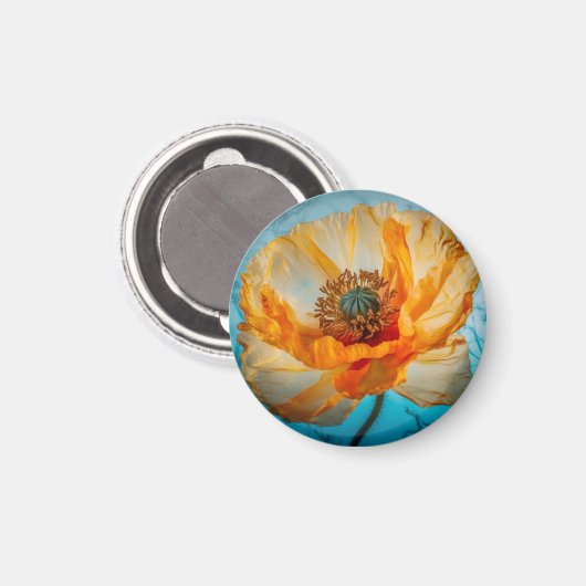 Orange Beauty Magnet (Vorderseite/Rückseite)