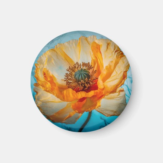 Orange Beauty Magnet (Vorne)