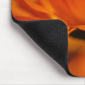 Orange Beauty Mousepad (Ecke)