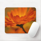 Orange Beauty Mousepad (Mit Mouse)