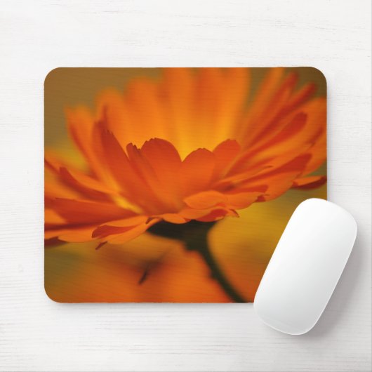 Orange Beauty Mousepad (Mit Mouse)