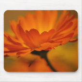 Orange Beauty Mousepad (Vorne)