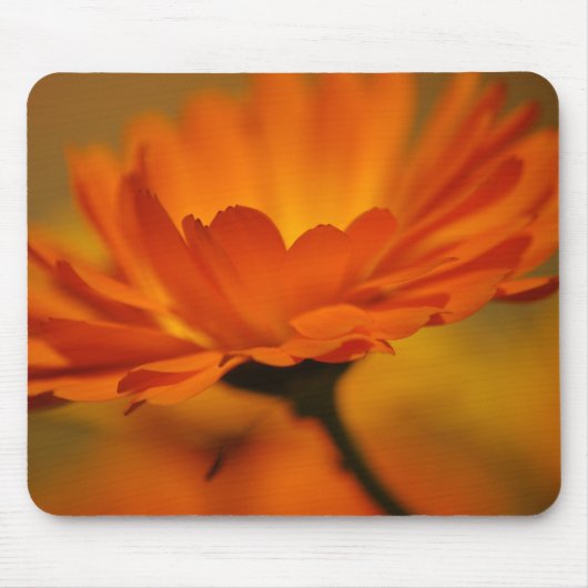 Orange Beauty Mousepad (Vorne)