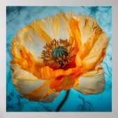 Orange Beauty Poster (Vorne)