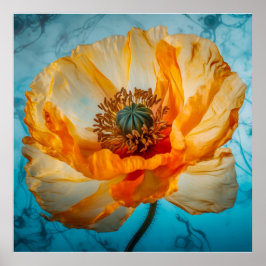 Orange Beauty Poster