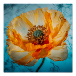 Orange Beauty Poster