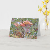 Orange Beeren Karte (Gelbe Blume)