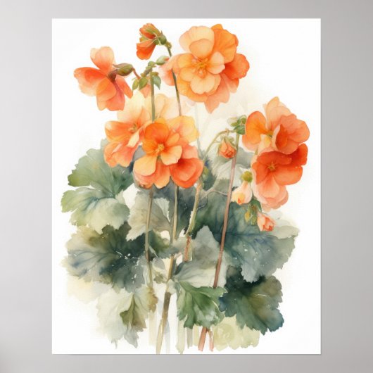 Orange Begonia Blume Art Print Poster (Vorne)