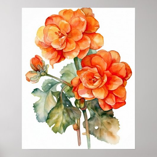 Orange Begonia Blume Art Print Poster (Vorne)