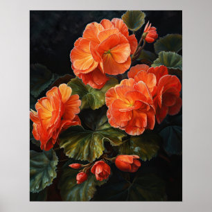 Orange Begonia Blume Art Print Poster